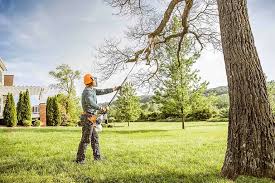 Leaf Removal in Bowling Green, OH